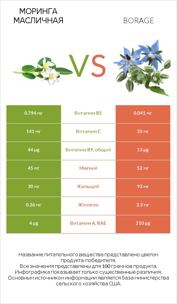 Моринга масличная vs Borage infographic