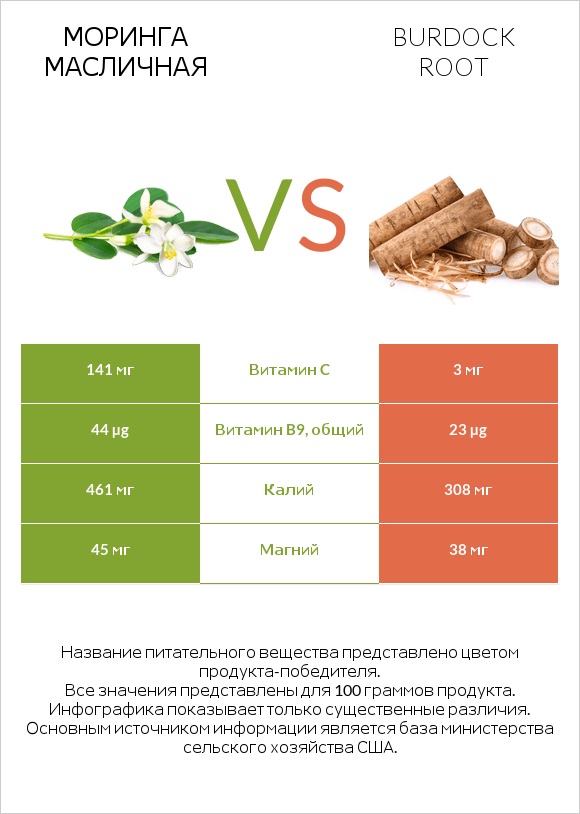 Моринга масличная vs Burdock root infographic