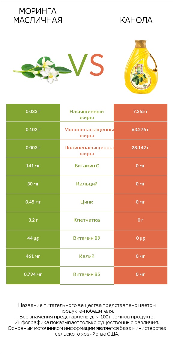 Моринга масличная vs Канола infographic