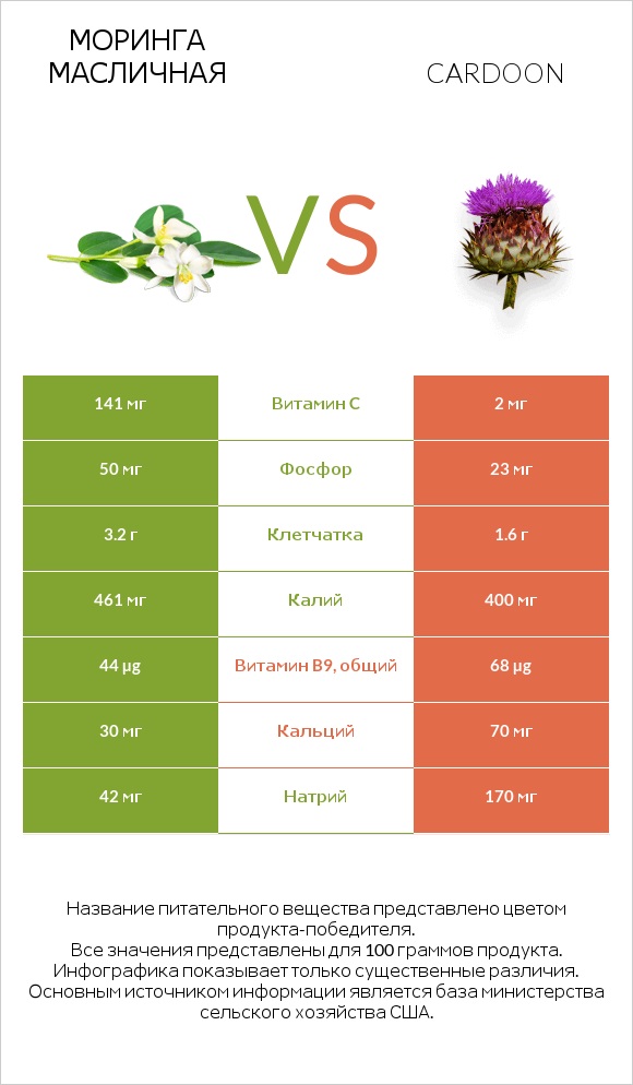 Моринга масличная vs Cardoon infographic