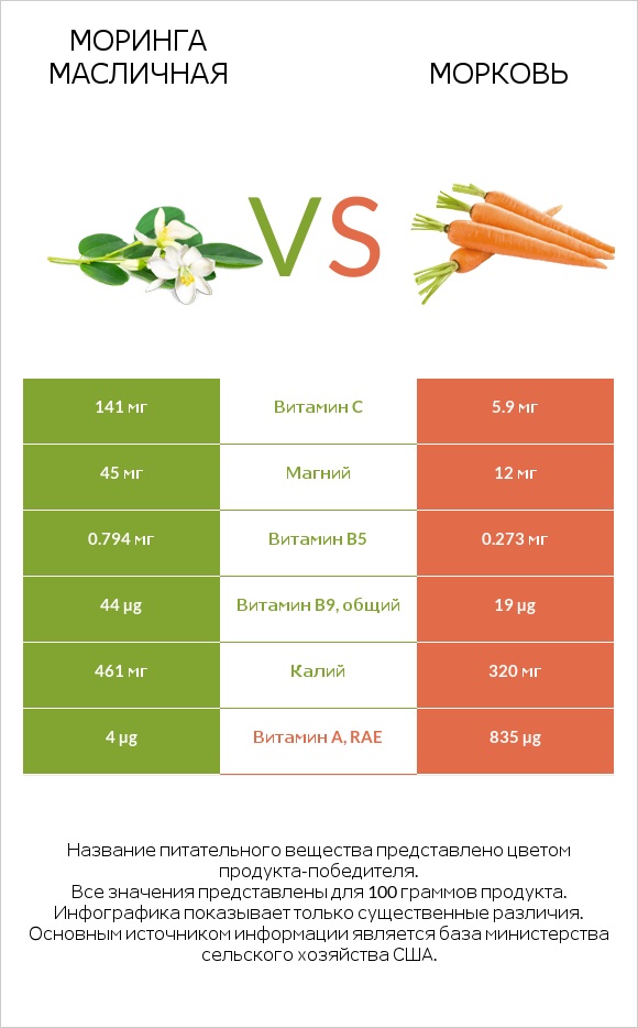 Моринга масличная vs Морковь infographic