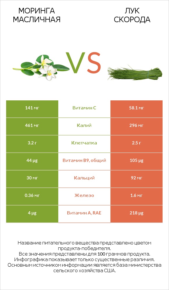 Моринга масличная vs Лук скорода infographic