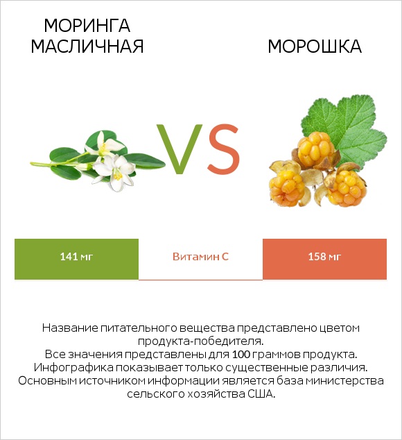 Моринга масличная vs Морошка infographic