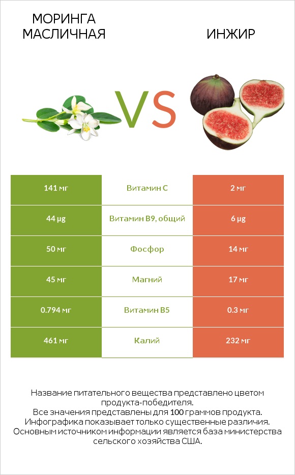 Моринга масличная vs Инжир infographic