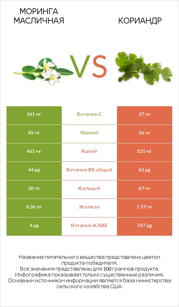 Моринга масличная vs Кориандр infographic