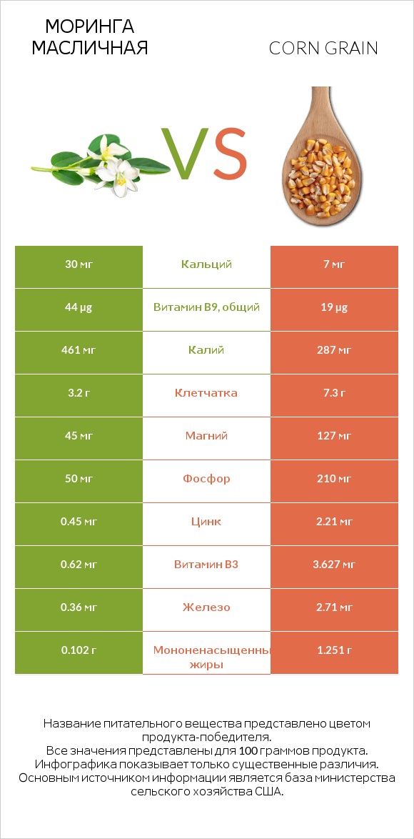 Моринга масличная vs Corn grain infographic