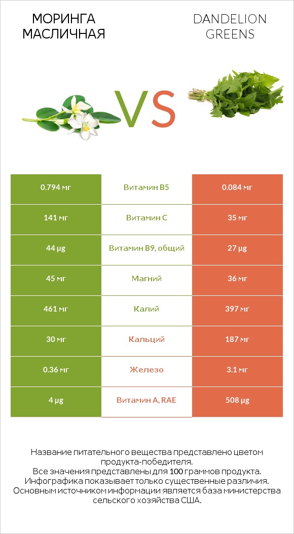 Моринга масличная vs Dandelion greens infographic