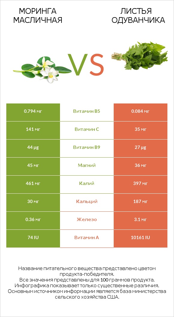 Моринга масличная vs Dandelion greens infographic