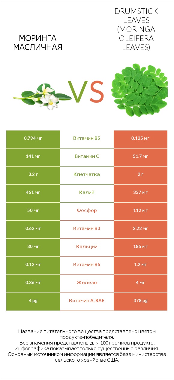 Моринга масличная vs Drumstick leaves infographic