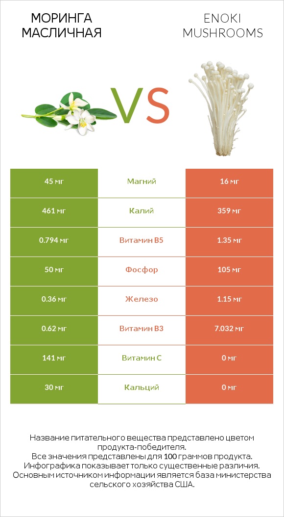 Моринга масличная vs Enoki mushrooms infographic