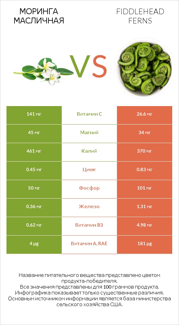 Моринга масличная vs Fiddlehead ferns infographic