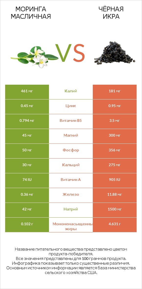 Моринга масличная vs Чёрная икра infographic