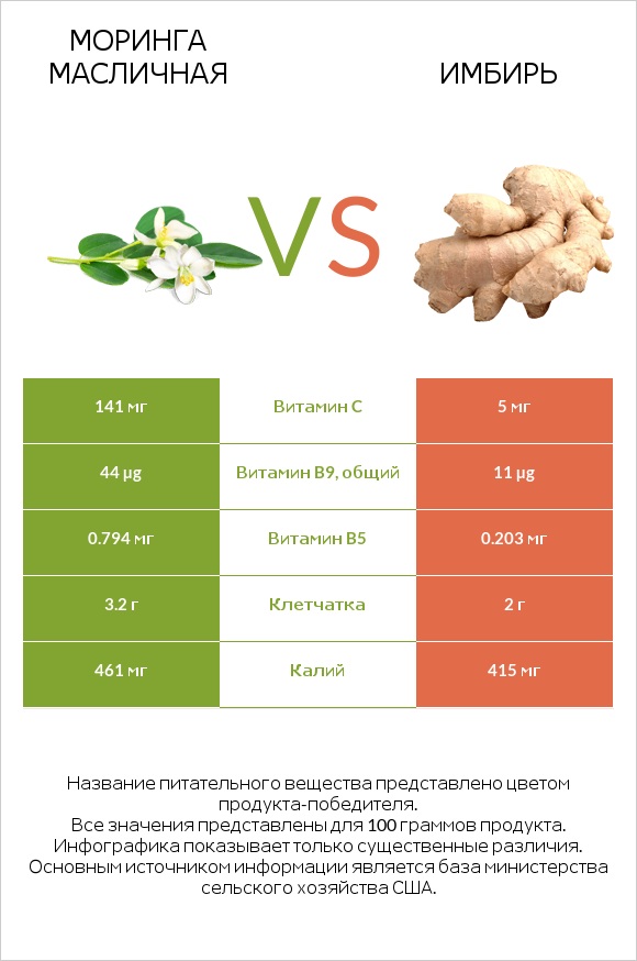 Моринга масличная vs Имбирь infographic