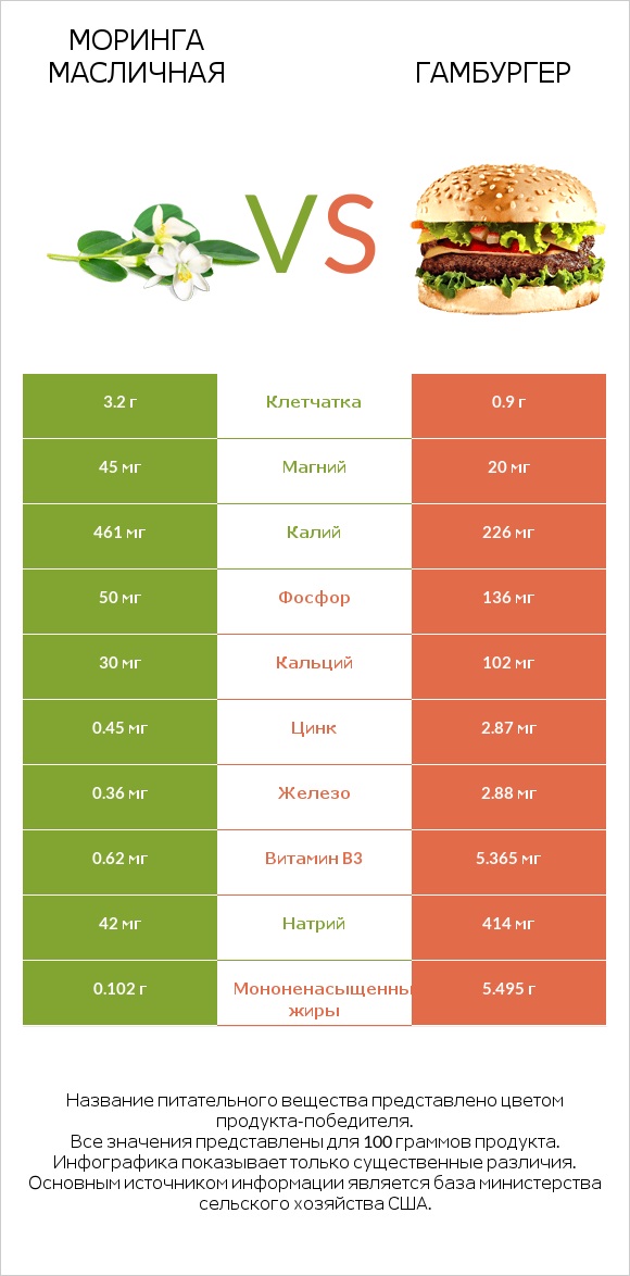 Моринга масличная vs Гамбургер infographic