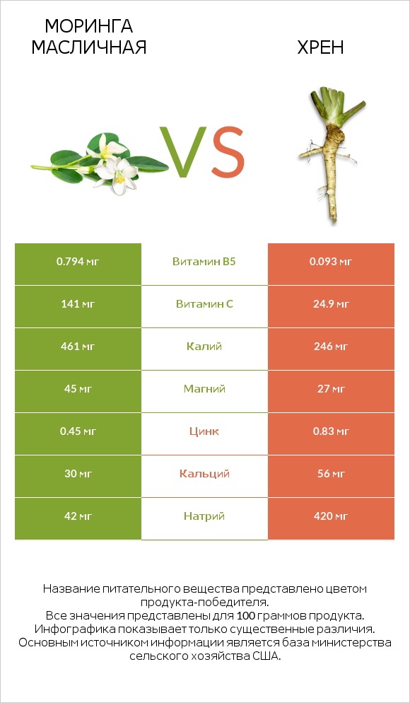 Моринга масличная vs Хрен infographic