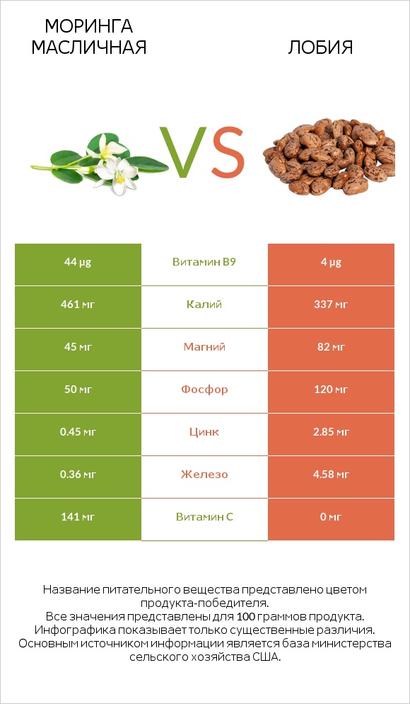 Моринга масличная vs Лобия infographic