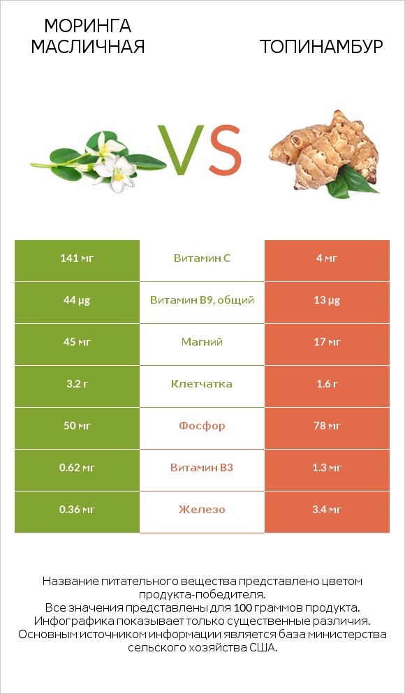 Моринга масличная vs Топинамбур infographic