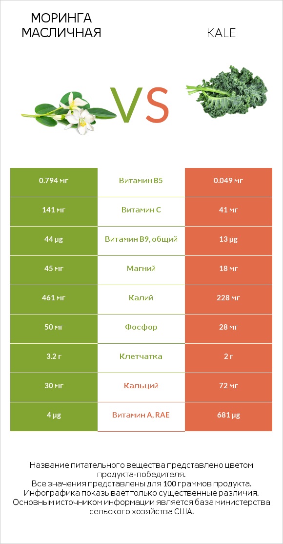 Моринга масличная vs Kale infographic