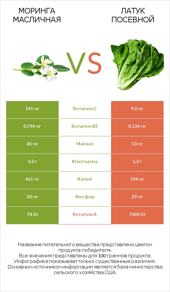 Моринга масличная vs Латук посевной infographic