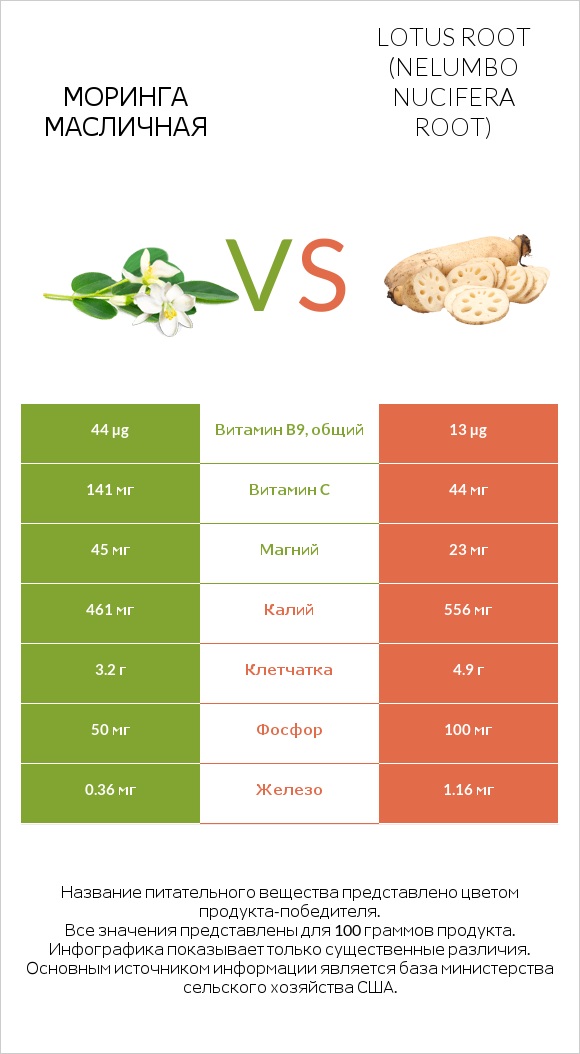 Моринга масличная vs Lotus root infographic