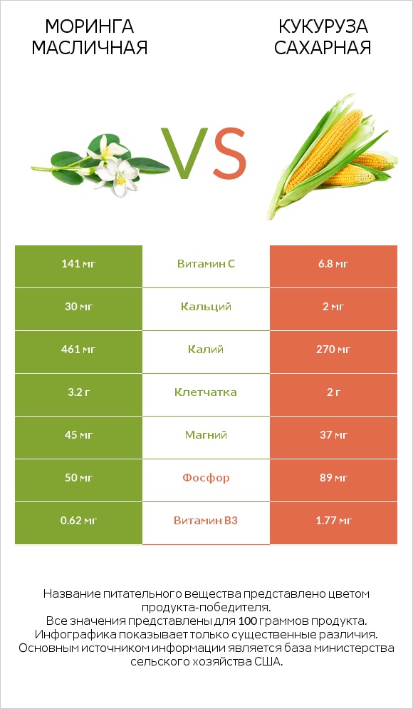 Моринга масличная vs Кукуруза сахарная infographic
