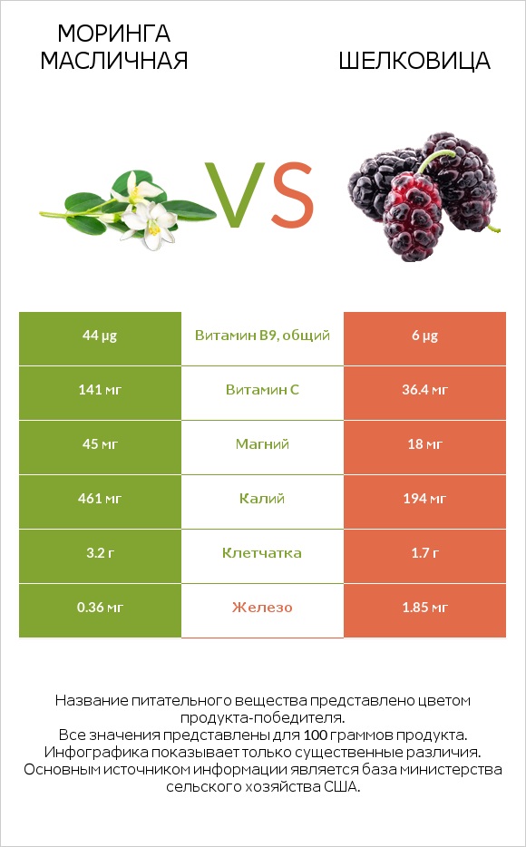 Моринга масличная vs Шелковица infographic