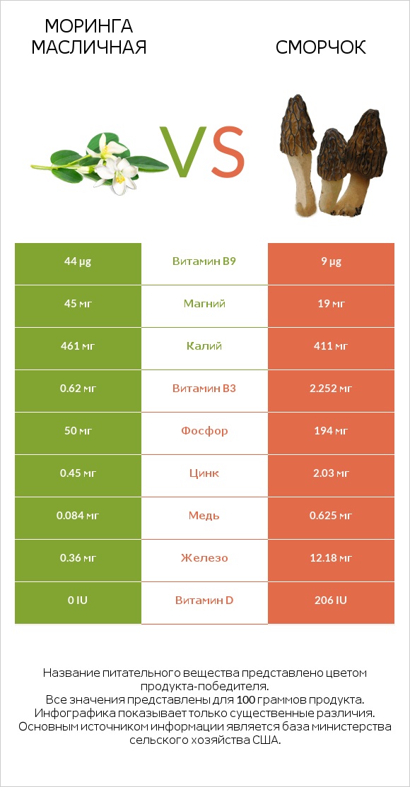 Моринга масличная vs Сморчок infographic
