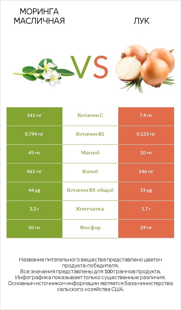 Моринга масличная vs Лук infographic
