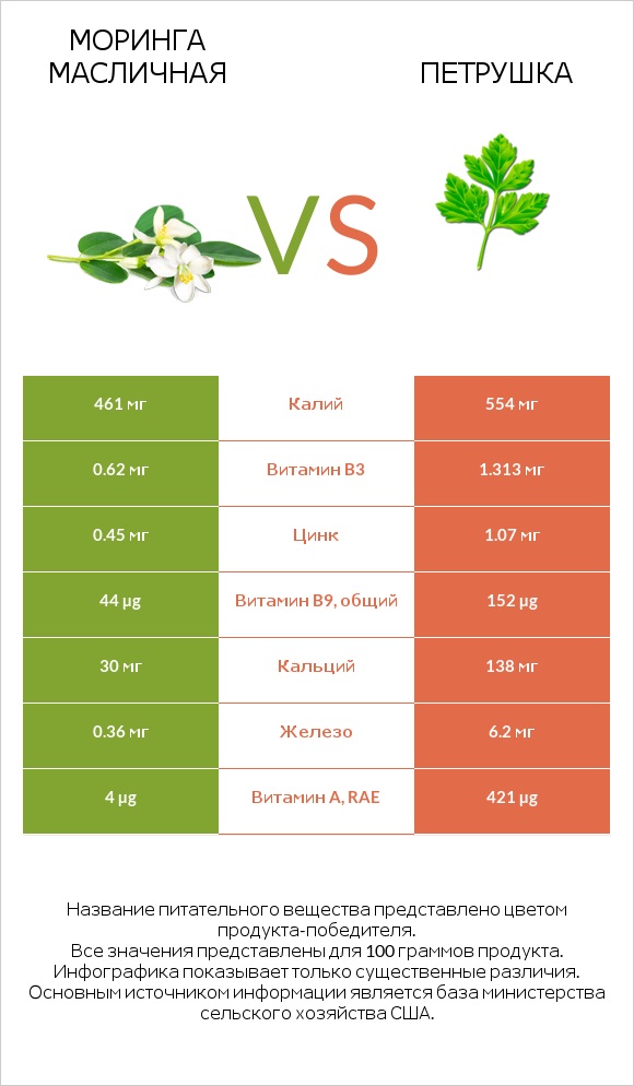 Моринга масличная vs Петрушка infographic