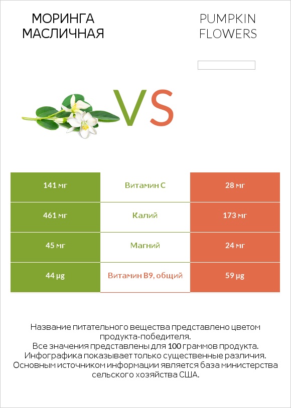 Моринга масличная vs Pumpkin flowers infographic