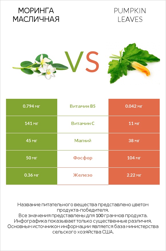 Моринга масличная vs Pumpkin leaves infographic