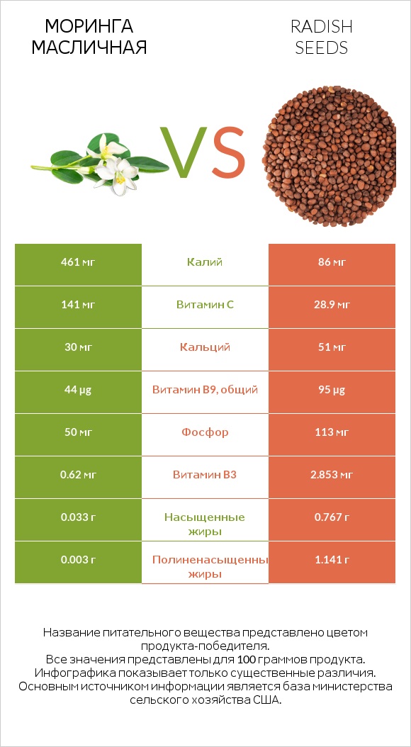 Моринга масличная vs Radish seeds infographic