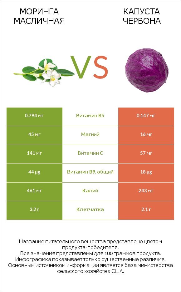Моринга масличная vs Капуста червона infographic