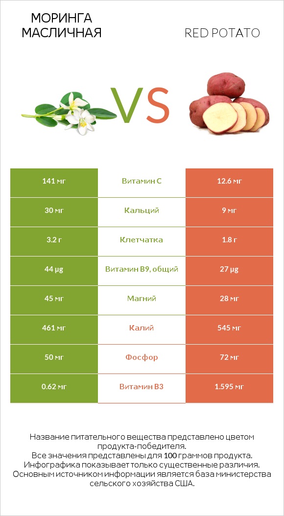 Моринга масличная vs Red potato infographic