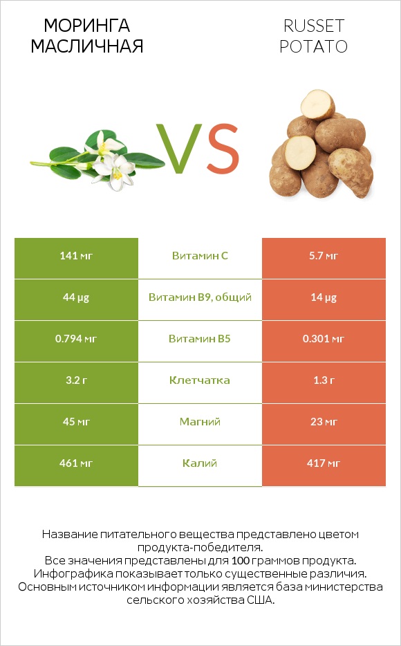 Моринга масличная vs Russet potato infographic
