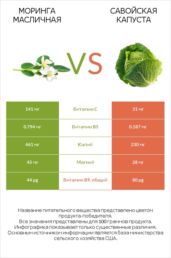 Моринга масличная vs Савойская капуста infographic