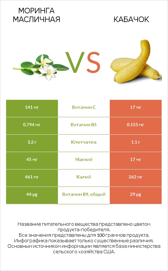Моринга масличная vs Кабачок infographic