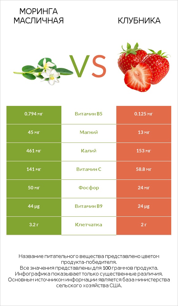 Моринга масличная vs Клубника infographic
