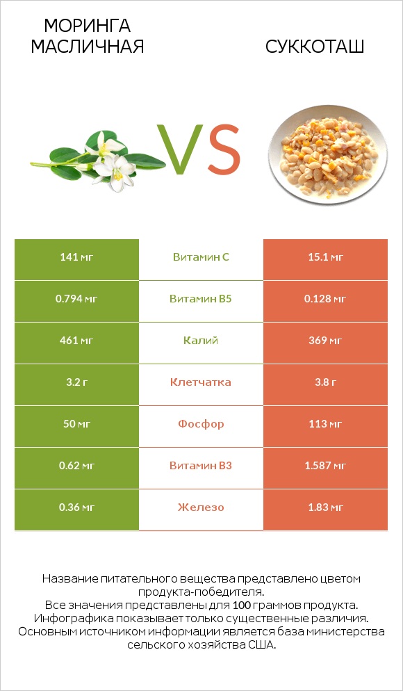 Моринга масличная vs Суккоташ infographic