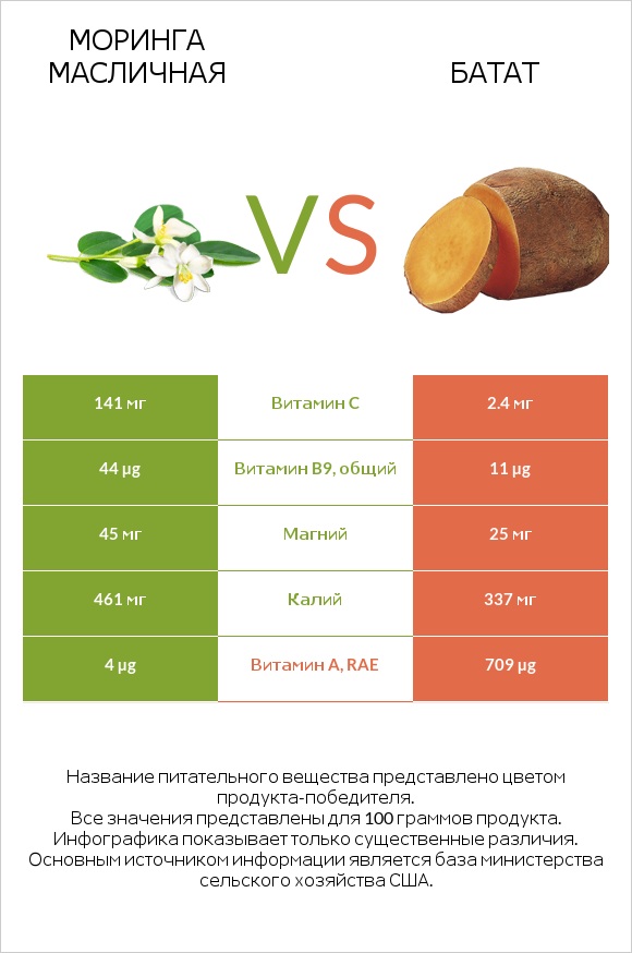Моринга масличная vs Батат infographic