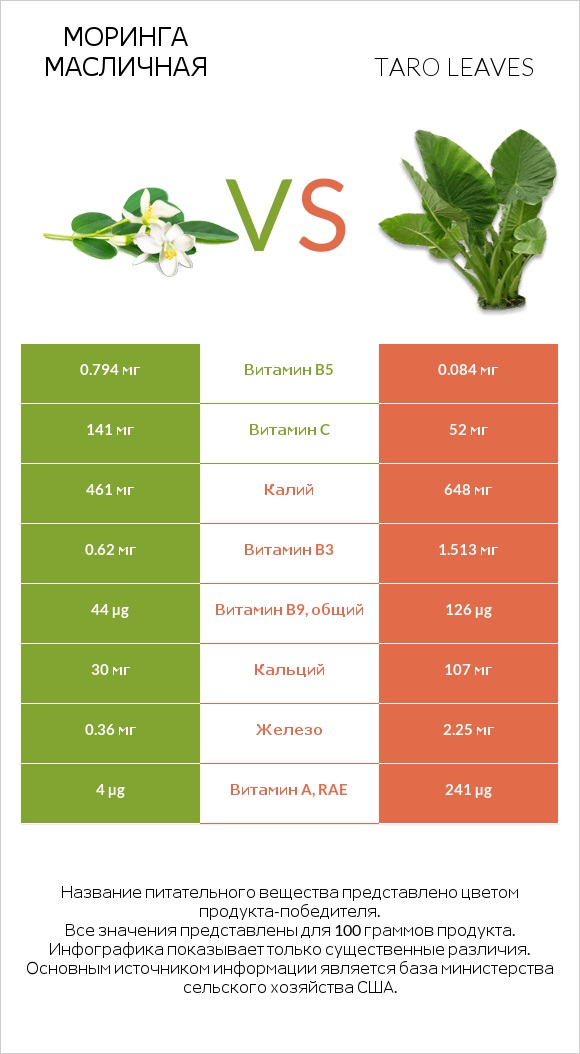 Моринга масличная vs Taro leaves infographic