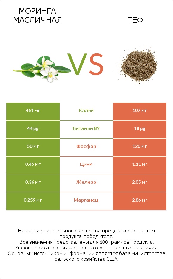 Моринга масличная vs Теф infographic