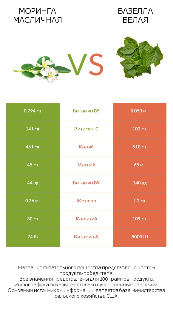 Моринга масличная vs Базелла белая infographic