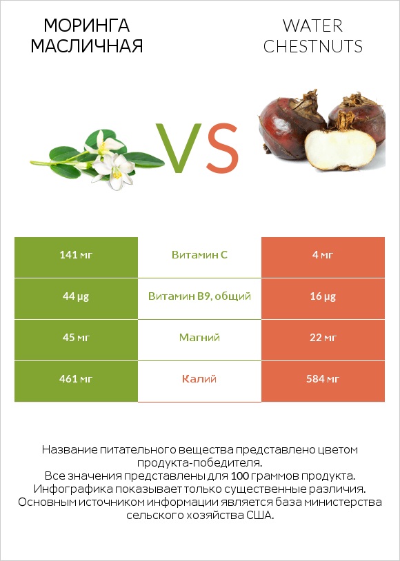 Моринга масличная vs Water chestnuts infographic