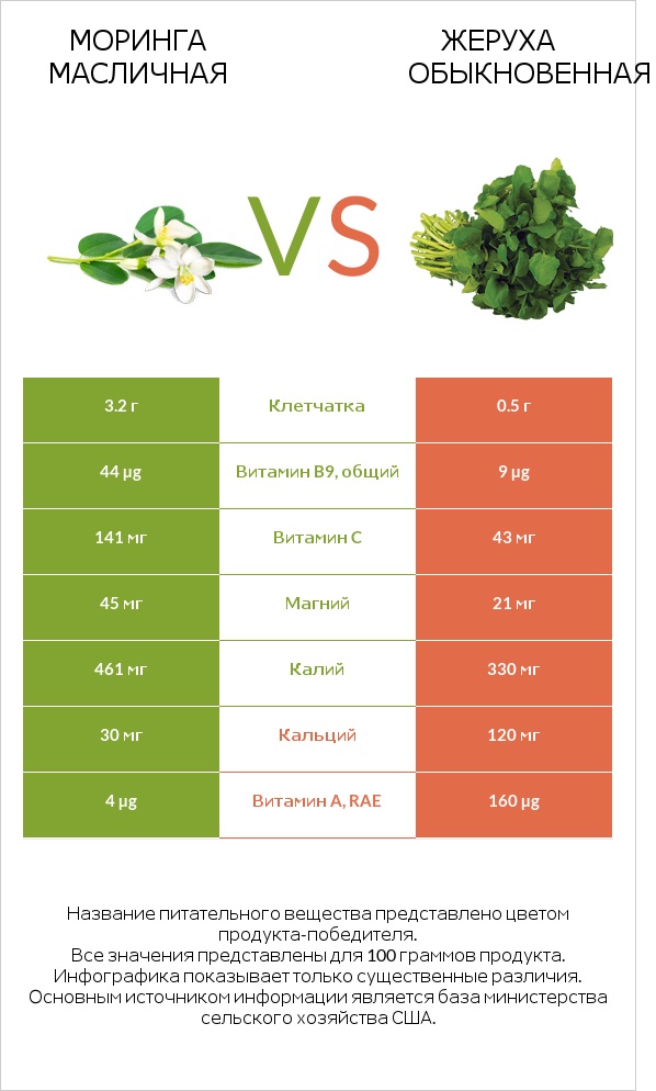 Моринга масличная vs Жеруха обыкновенная infographic