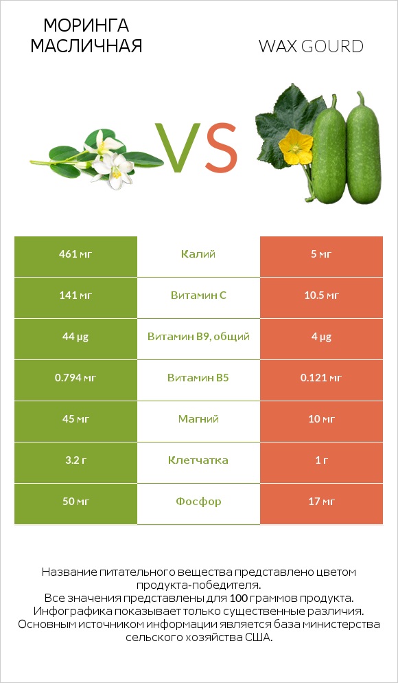 Моринга масличная vs Wax gourd infographic