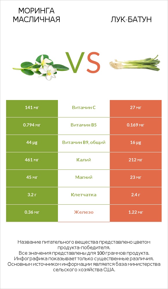 Моринга масличная vs Лук-батун infographic