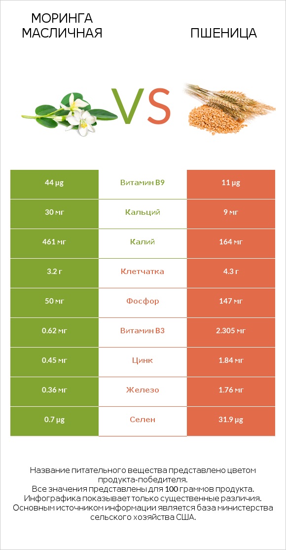 Моринга масличная vs Пшеница infographic