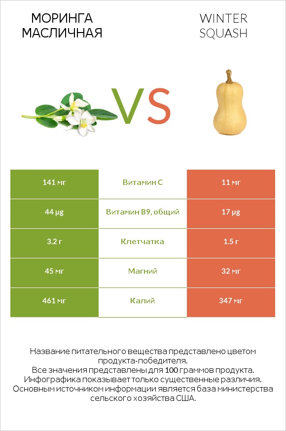 Моринга масличная vs Winter squash infographic