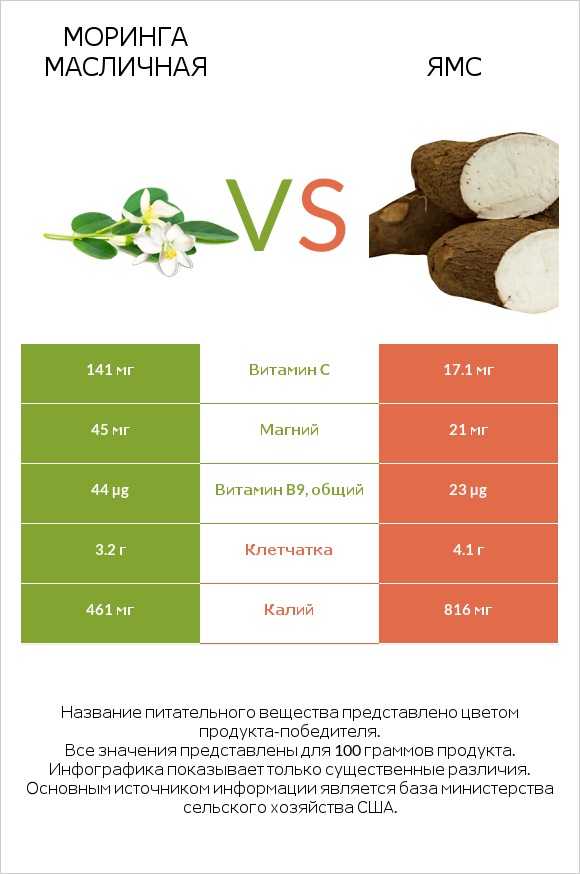 Моринга масличная vs Ямс infographic